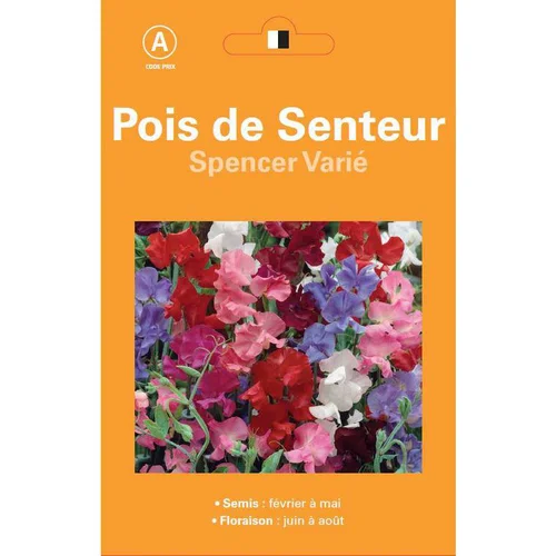 Pour tous vos besoins jardin:Graines de Pois de senteur Spencer varié - graines à semer