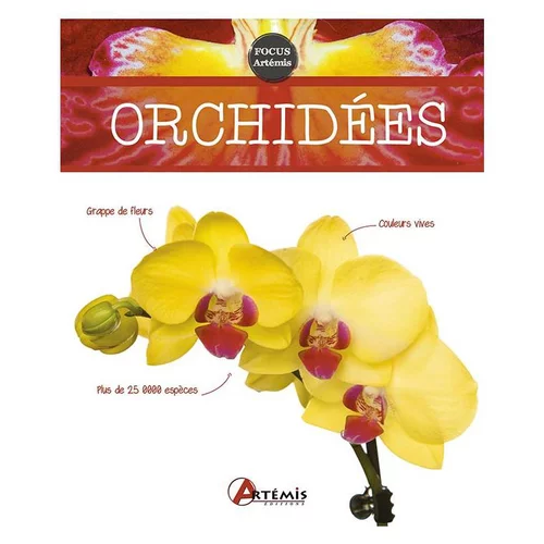 Le choix pour le jardin:Orchidées