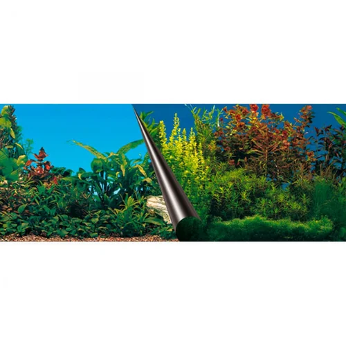 Ambiance jardin：Poster aquarium thème marin, EUROPET BERNINA, modèle Beauty/Sea - 80x40cm