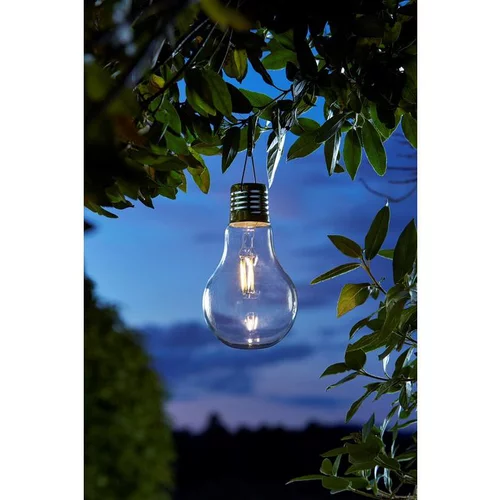 Jardin & nature：Ampoule Rétro