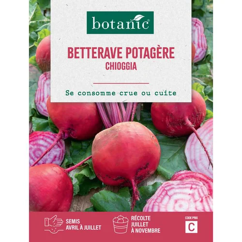 Maison & jardin:Graines de Betterave potagère Chioggia botanic® - graines à semer