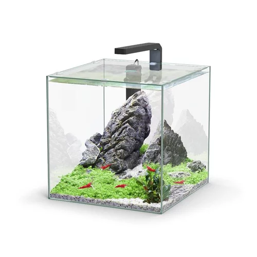 Jardin et plaisir:Aquarium équipé Kubus - 33L