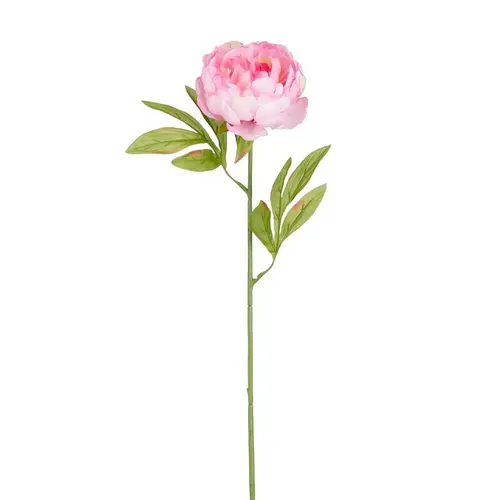 Facile à intégrer au jardin：Tige de pivoine artificielle en plastique recyclé rose - 67 cm