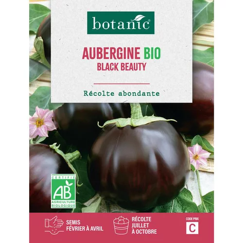 Simple pour le jardin：Graines d'aubergine black beauty bio botanic® - graines à semer