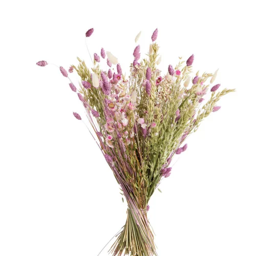 Pour transformer votre jardin:Bouquet coloris multicolore en fleurs séchées - Ø 25 cm