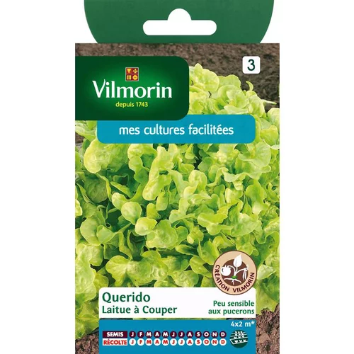Un choix pratique pour l’extérieur：Graines de laitue querido Vilmorin - graines à semer