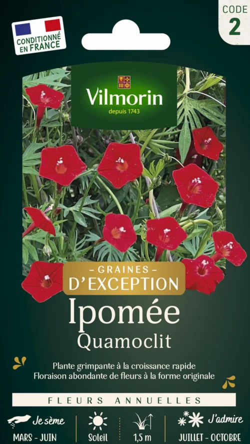 Bien au jardin:Graines de Ipomée Quamoclit Vilmorin graines d’exception - graines à semer