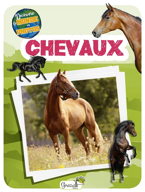 Spécial jardin：Livre pour enfants "Chevaux découvre le monde"