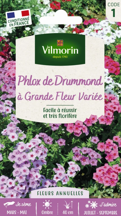 Espace vert essentiel：Graines de Phlox de Drummond à grande fleur variée Vilmorin - graines à semer