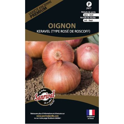 Graines potagères premium oignon (Keravel type Roscoff)