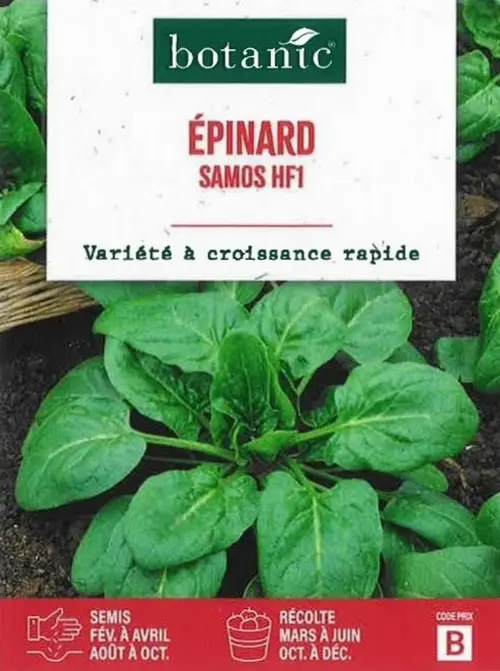 Extérieur accessoire：Graines d'Épinard samos hybride F1 série B botanic®- graines à semer