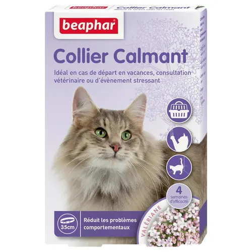 Pour vos projets jardin：Collier calmant pour chat
