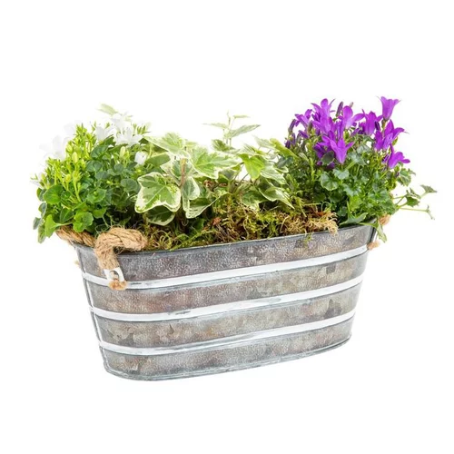 Déco jardin：Composition de Noël d'extérieur Zinc - Jardinière 20 cm
