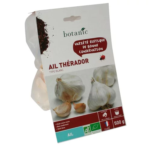 Plaisir dehors:Bulbes d’ail blanc Therador AB bio 55+