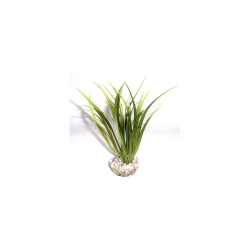 La solution pour vos extérieurs：Echinotorus vert en plastique 16 cm