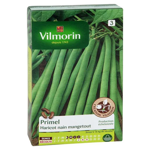 Spécial jardin:Haricot Nain Mangetout Primel Vilmorin - graines à semer