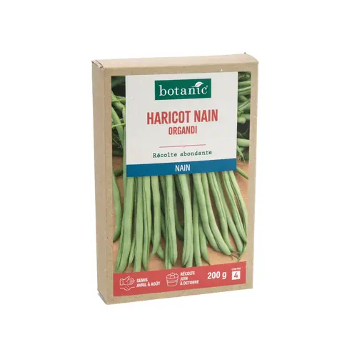 Pour valoriser votre jardin：Graines de haricot nain organdi extra-fin sans fil botanic® - graines à semer 200 g