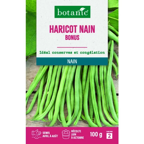 Maison et jardin：Graines d'haricot nain bonus botanic® - graines nain semer
