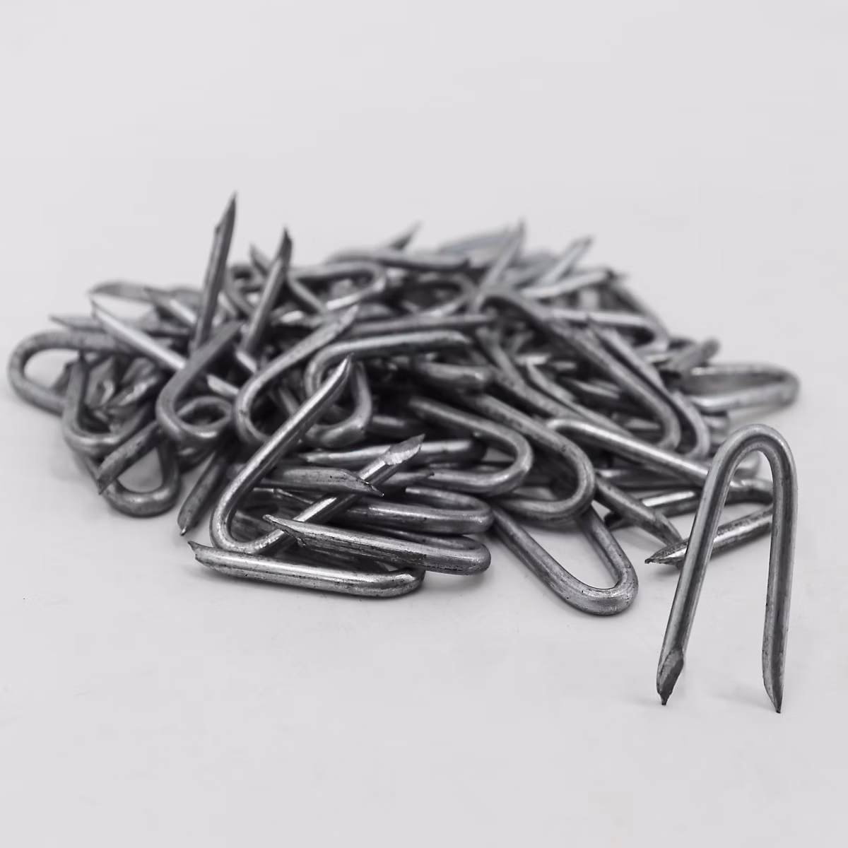 10 kg de crampons – boucles métalliques, clôture de protection Aquagart