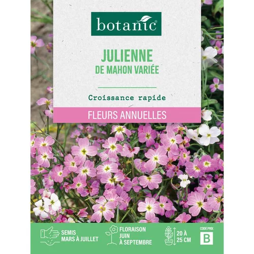 À adopter pour l’extérieur：Graines de fleurs de Julienne de mahon variée botanic®