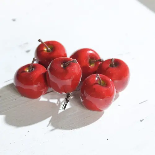 Jardin inspiration:6 mini-pommes décoratives rouges Ø 3,5 cm sur fil de fer - 7 x 7 x 9 cm