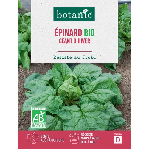 Sélection au jardin：Graines d'épinard géant d'hiver bio botanic® - graines à semer