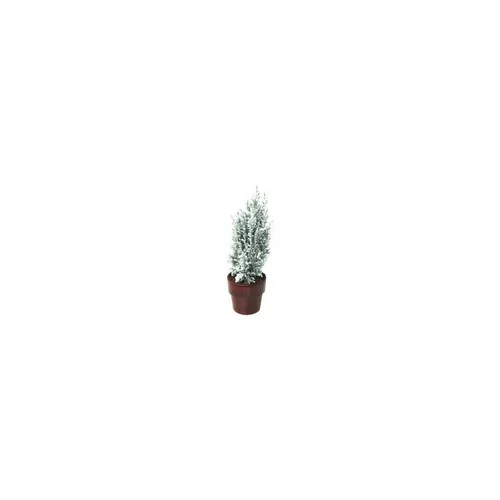 Bien utile au jardin:Elwoodii enneigé - Le pot de 1 litre