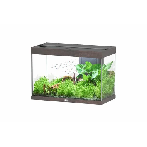 Sélection jardin：Aquarium 146 litres équipé LED 2.0 et filtre Aquatlantis Splendid chêne foncé - 80 x 40 x 56 cm