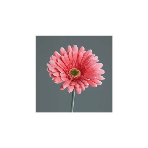 Extérieur moderne:Fleur gerbera artificielle