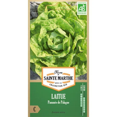Idéal pour l’extérieur：Graines de Laitue pommée de Pologne bio Ferme de Sainte Marthe - graines à semer
