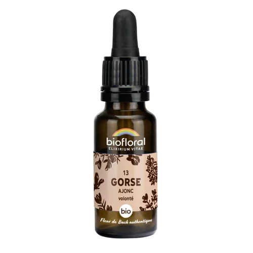 Extérieur nature:Élixir n°13 Biofloral d’ajonc en flacon de 20 ml
