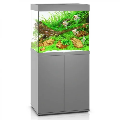 Moderne au jardin：Aquarium tout équipé gris, JUWEL AQUARIUM Lido 200 - 200L