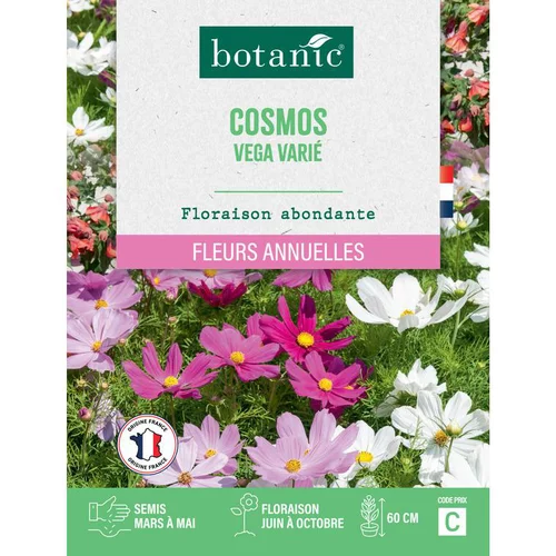 Jardin utile：Graines de fleurs de Cosmos vega varié botanic®