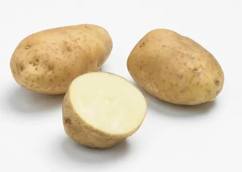 Moderne jardin:Sachet de pommes de terre Bintje calibre 28/35 - 3 kg