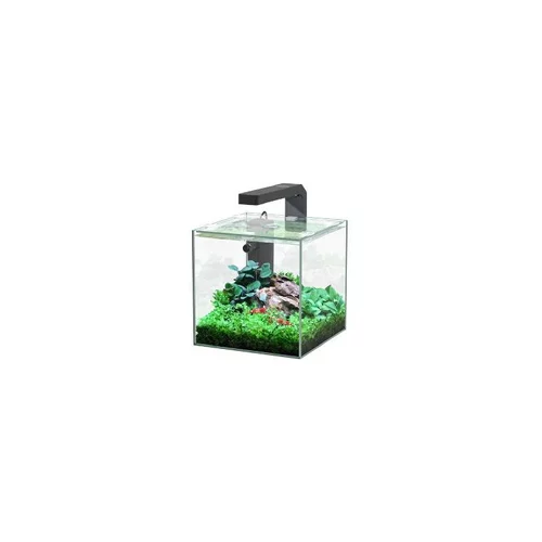 Solution maison：Aquarium équipé Nano - 22L