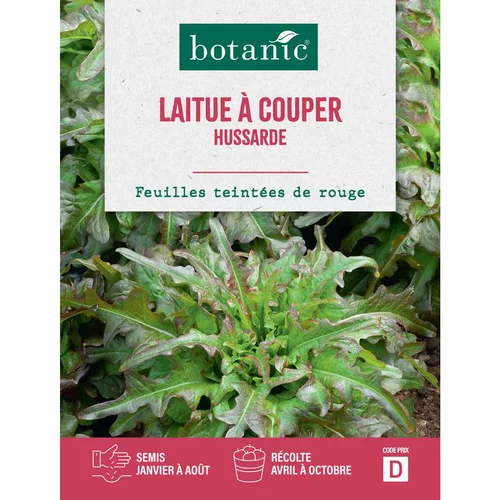 Bien utile au jardin：Graines de laitue à couper hussarde botanic® - graines à semer