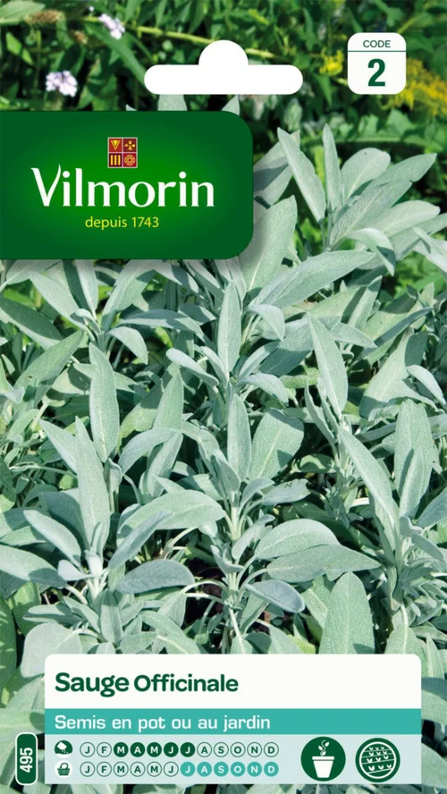 Sélection jardin：Sauge Officinale Vilmorin - graines à semer