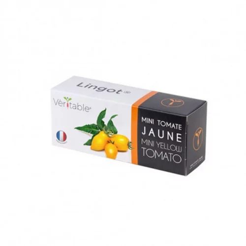 Univers jardin:Lingot® Mini tomate jaune pour potager Véritable