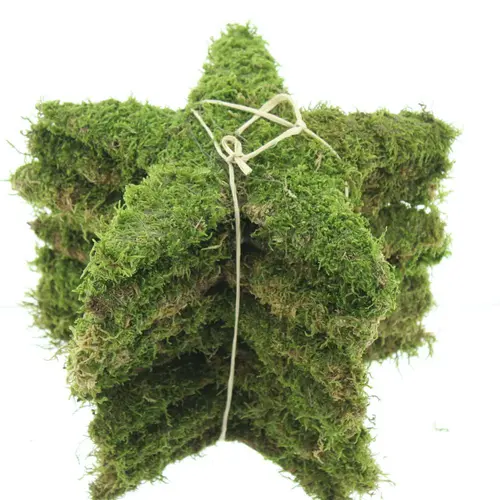 Essentiel jardin:Étoile en mousse coloris vert – Ø 30 cm