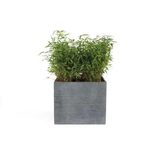 Jardin fonctionnel:Pot carré bas Stream coloris anthracite 55x55x46 cm