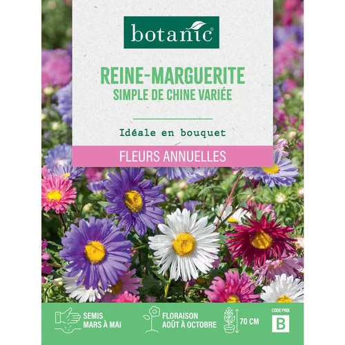 Solution maison：Graines de fleurs de Reinemarguerite simple de Chine variée botanic®