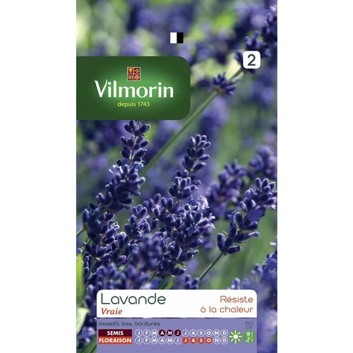 Extérieur accessoire:Lavande Vilmorin - graines à semer