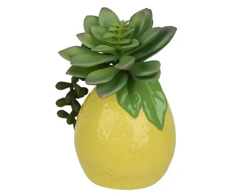 Pour valoriser votre jardin:Succulente et pot citron en dolomite jaune - 9 x 8 x 14 cm