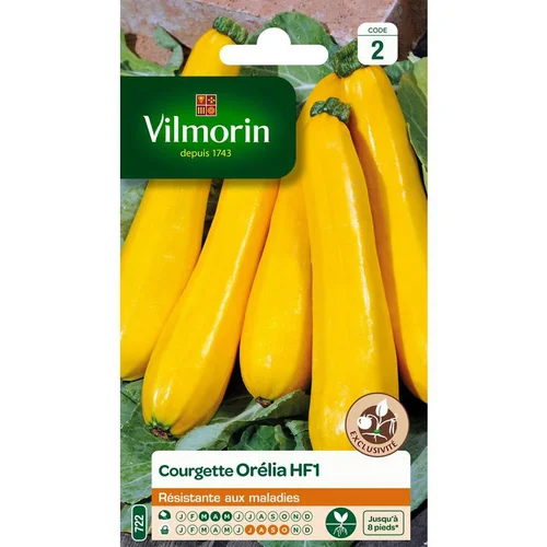 Solution au jardin:Graines de Courgette Orélia HF1 Vilmorin - graines à semer