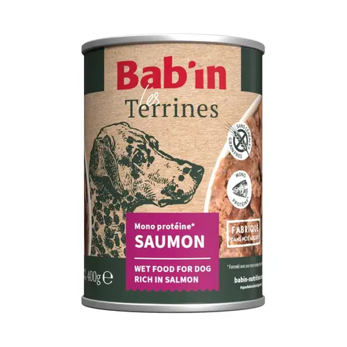 Une solution pratique pour le jardin：Aliment humide pour chien Bab’in Terrine saumon - 400 g