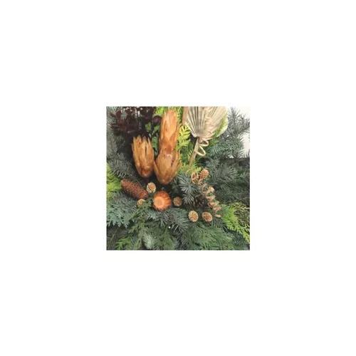 Jardin maison：Composition avec sapin vert