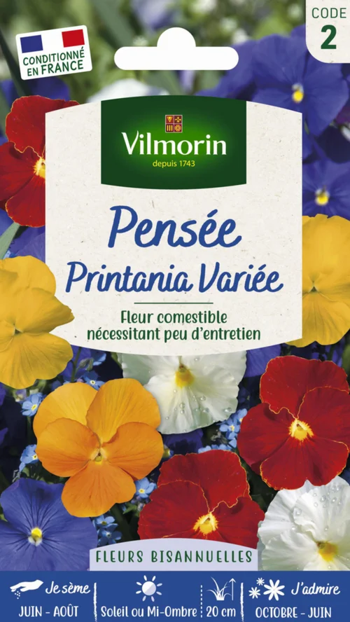 Jardin fonctionnel:Graines de Pensée Printania variée Vilmorin - graines à semer
