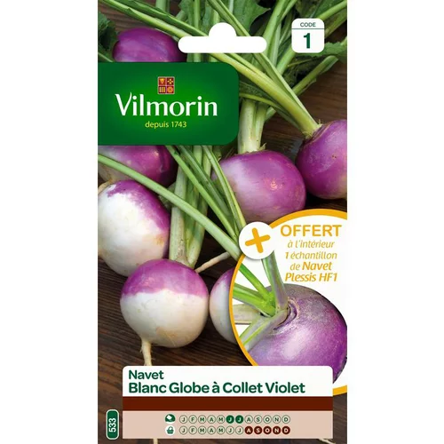 À avoir au jardin：Graines de navet blanc globe à collet violet Vilmorin - graines à semer