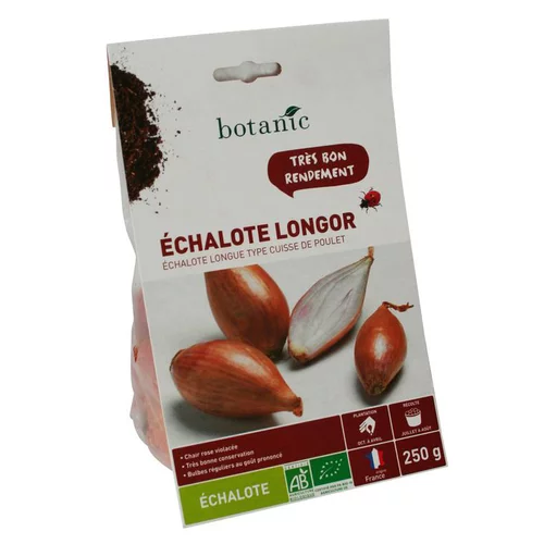 Bien au jardin:Bulbes d’échalote longue Longor AB bio calibre 15/40, 250 g