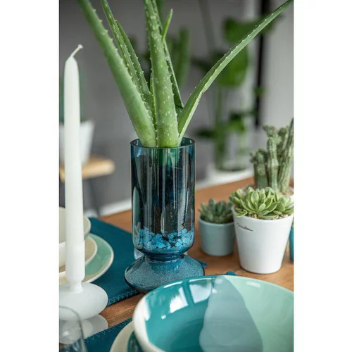Une idée pratique pour le jardin:Aloe vera bio en pot H 25 x Ø 12 cm